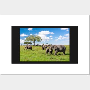 Elephant Herd In The Serengeti Landscape Posters and Art